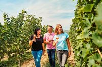 Weintour soll Breisgauer Wein in den Fokus rcken