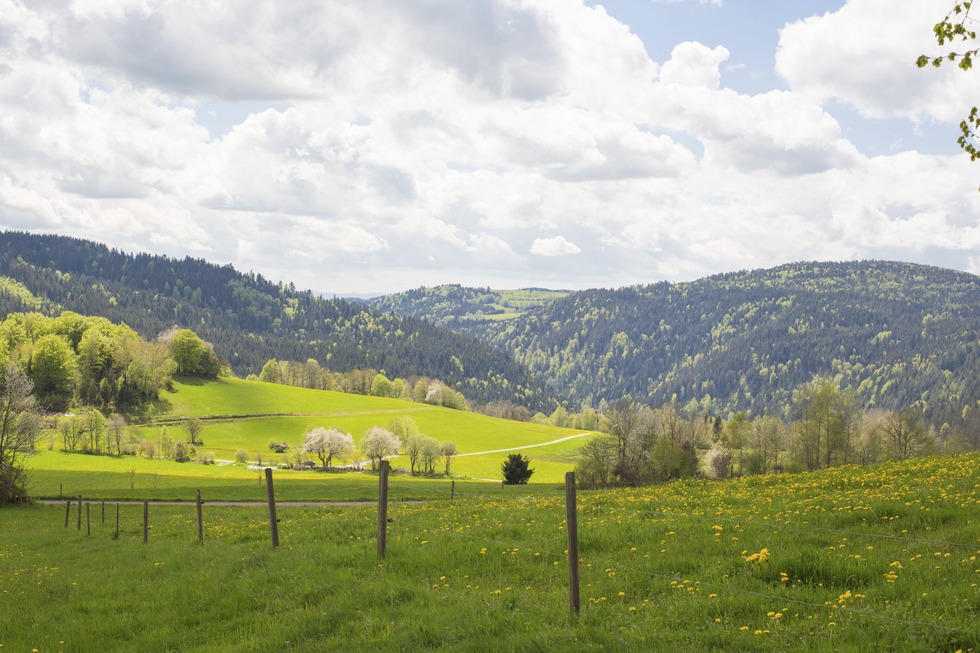 Spiel- und Grillplatz Rotrtte - Husern