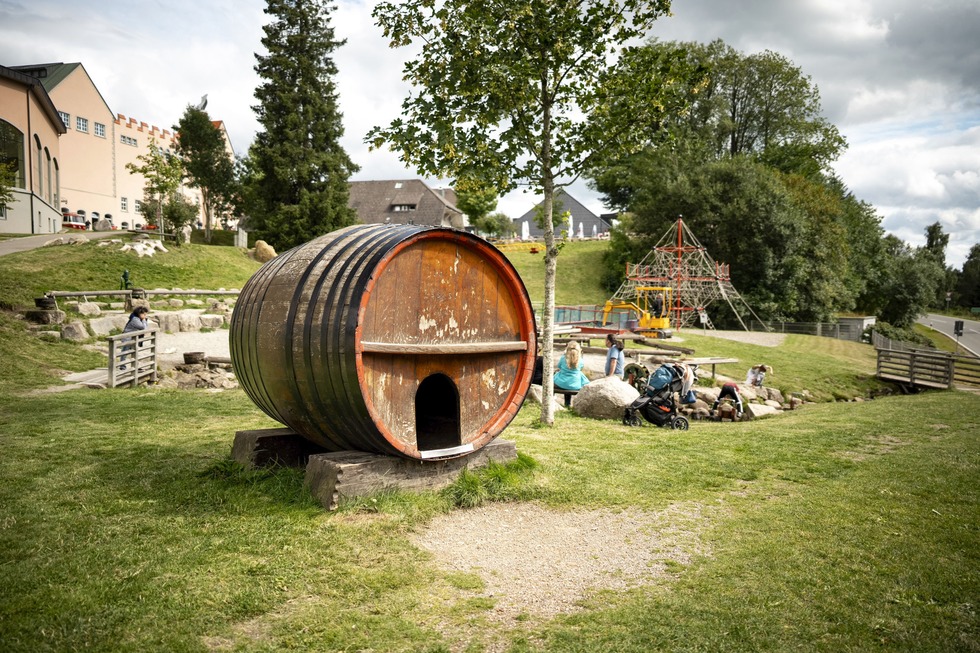 Abenteuerspielplatz Rothaus - Grafenhausen