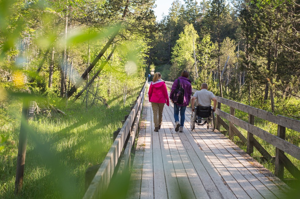 Hochmoor-Rundweg - Hinterzarten