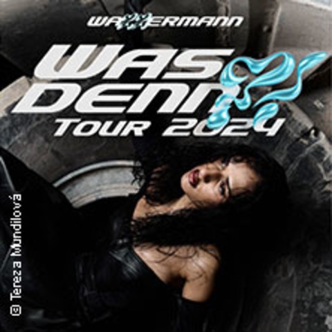 Wa22ermann - Was denn?! Tour 2024 - Hamburg - 21.11.2024 20:00