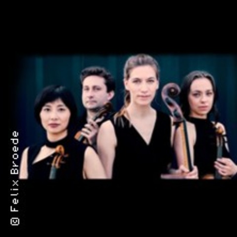 Festivalpass - Malion Quartett und Gste / Malion Musikfestival '24 - FRANKFURT AM MAIN - 30.09.2024 00:00