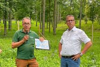 Am Kaiserstuhl wird an der Zukunft von Weinbau und Wald gearbeitet