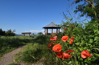 Aussichtspunkt Vogesenblick (Bischoffingen)