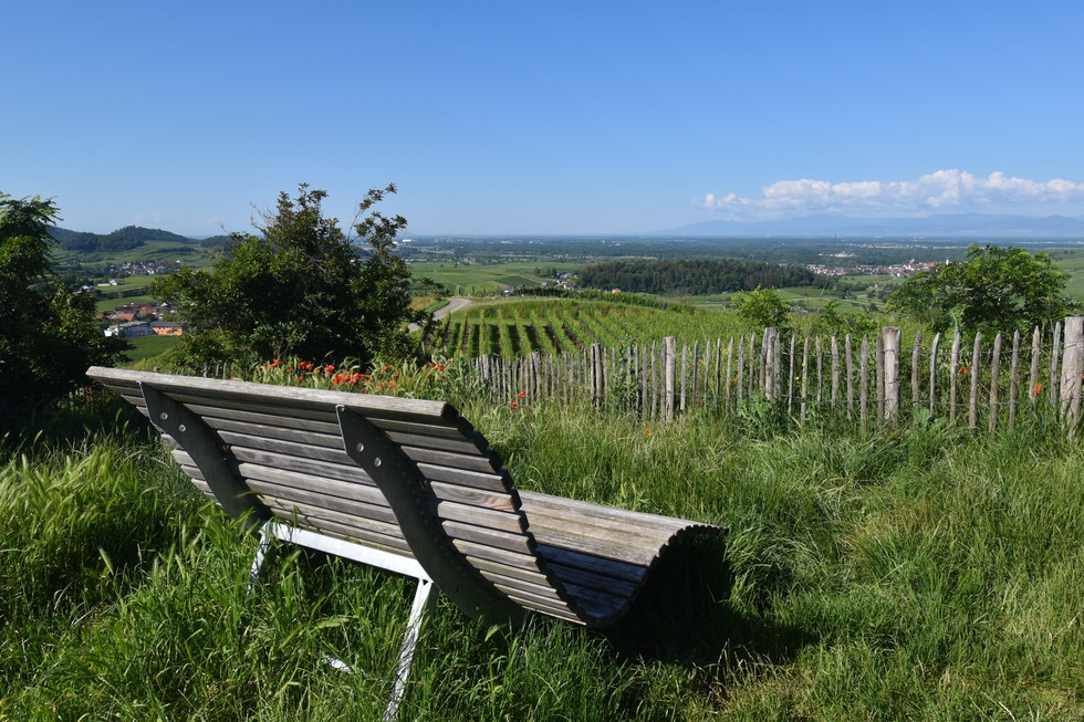 Aussichtspunkt Vogesenblick (Bischoffingen) - Vogtsburg