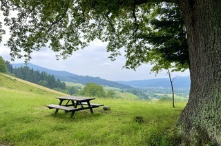 Dreisamtalblick