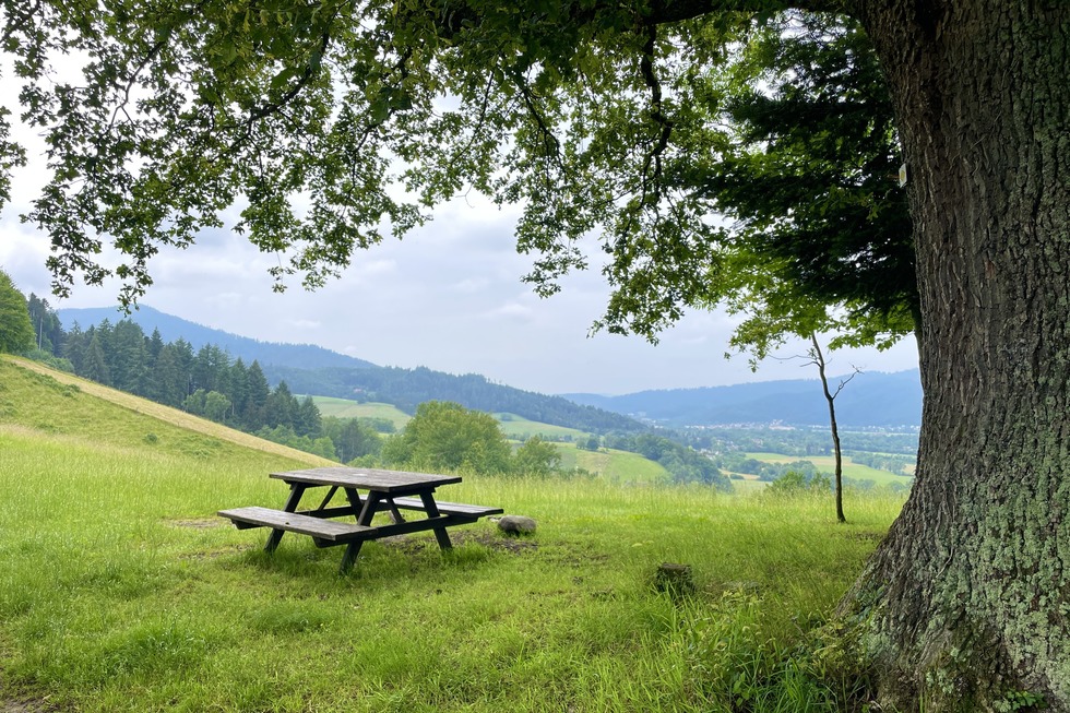 Dreisamtalblick - Kirchzarten