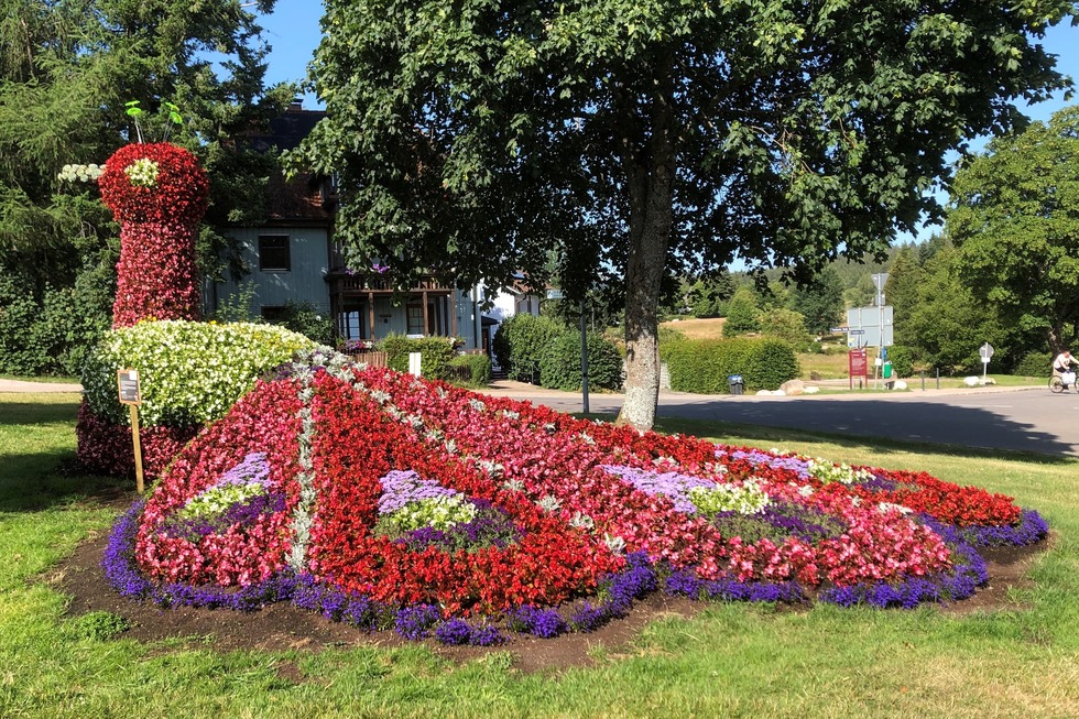 Blumenpfad - Schluchsee