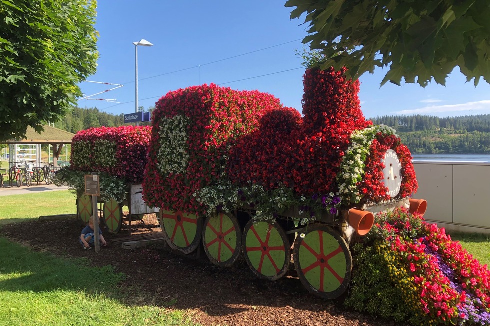 Blumenpfad - Schluchsee