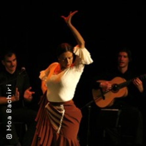 Flamenco Puro - Flamenco - BERLIN - 27.12.2024 20:00