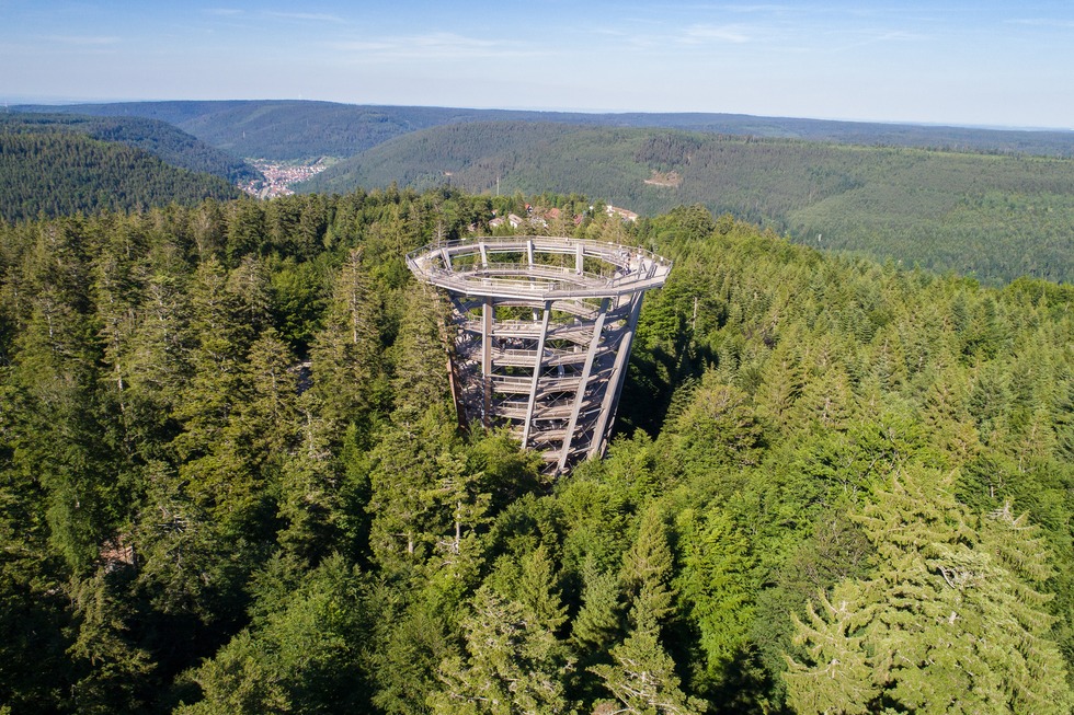 Baumwipfelpfad Schwarzwald - Bad Wildbad