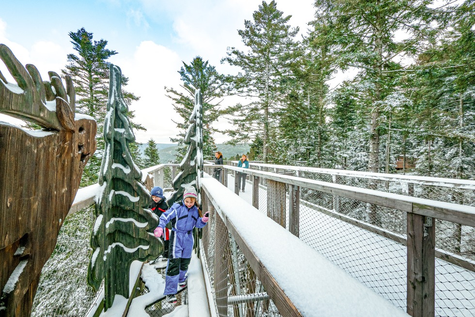 Baumwipfelpfad Schwarzwald - Bad Wildbad