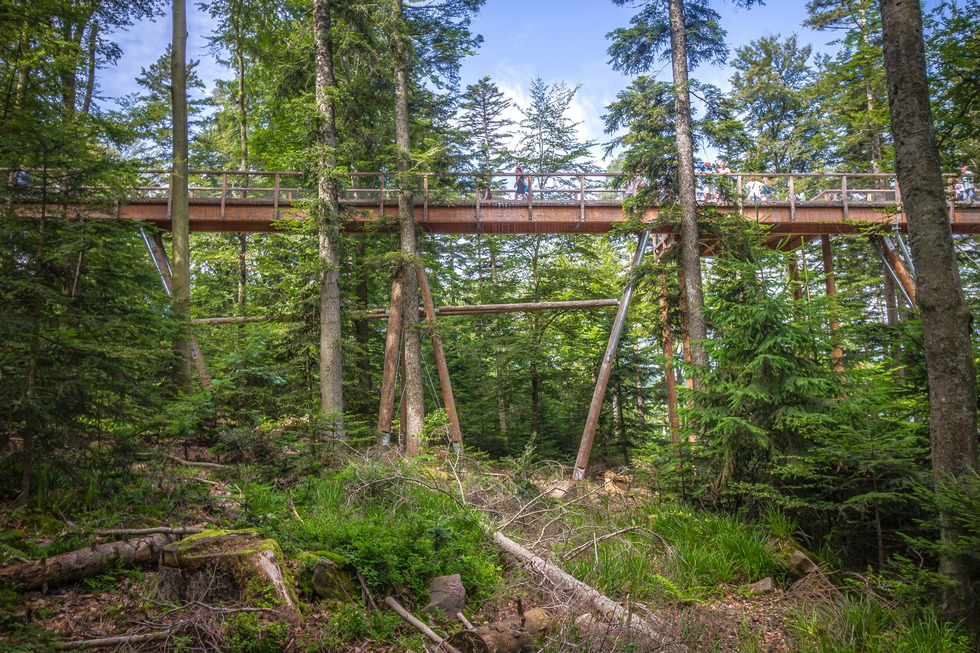 Baumwipfelpfad Schwarzwald - Bad Wildbad