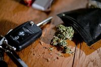 Medizinischer Sachverstndiger: "Es wird wegen Cannabis mehr Verkehrskontrollen geben"
