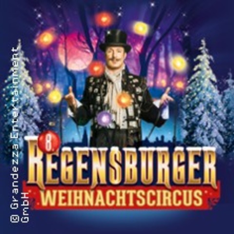 8. Regensburger Weihnachtscircus - Es werde Licht! - Familienvorstellung - REGENSBURG - 29.12.2024 11:00