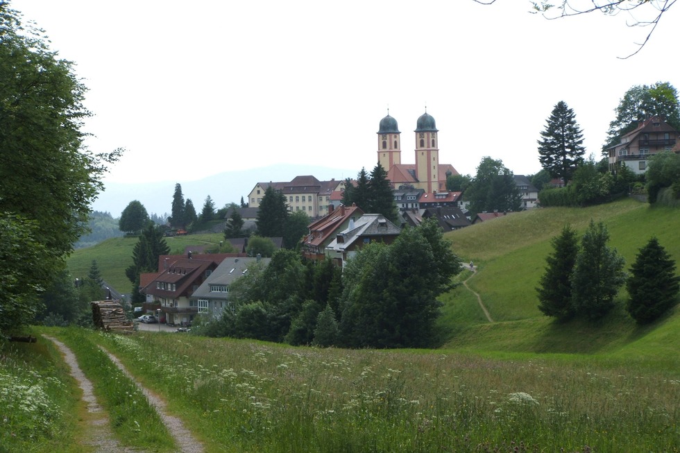 Pfisterwald-Rundweg - St. Mrgen