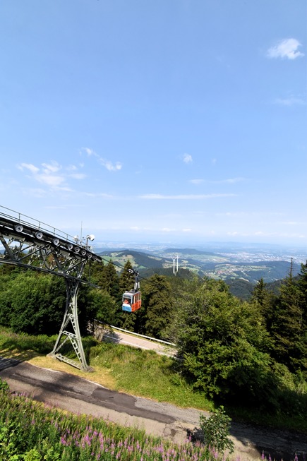 Schauinsland-Panoramatour (barrierefrei) - Oberried