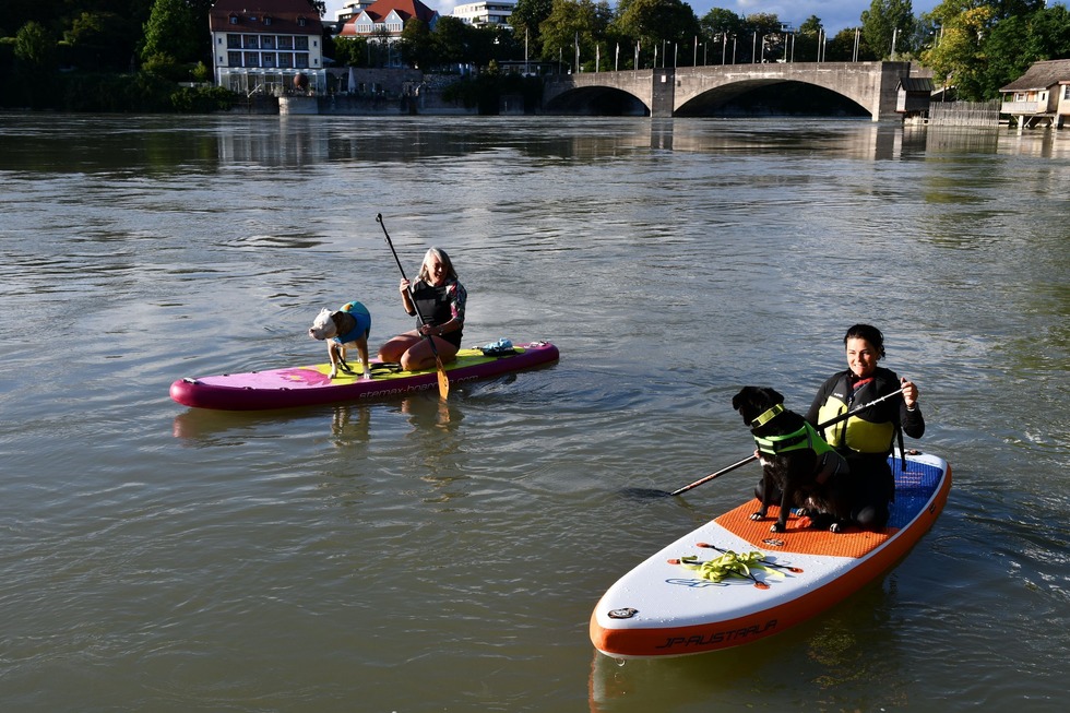 Stand-Up-Paddling mit Hund - Rheinfelden