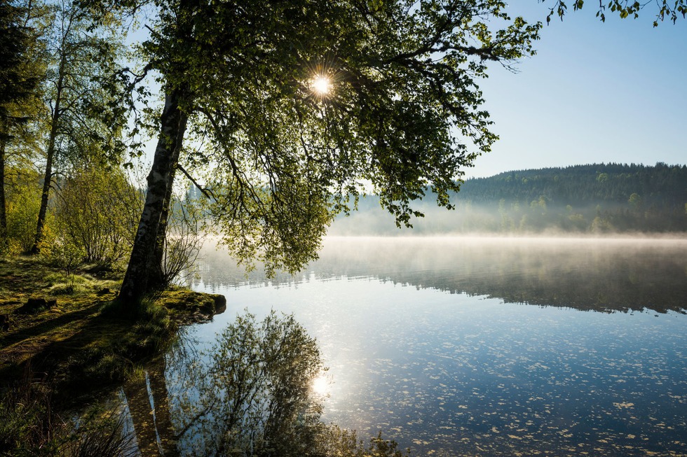 Windgfllweiher - Lenzkirch