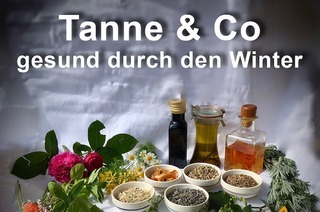 Workshop - Mit Tanne und Co. gesund durch den Winter