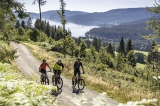 Der Naturpark Sdschwarzwald bietet ein Jubilumsprogramm an