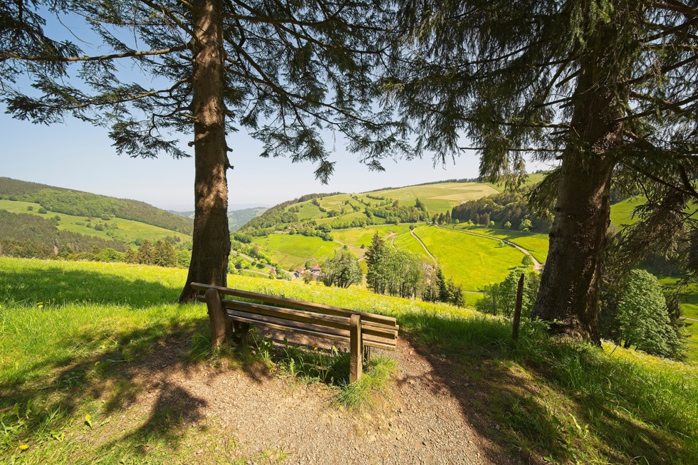 Wiedener Eck - Wieden