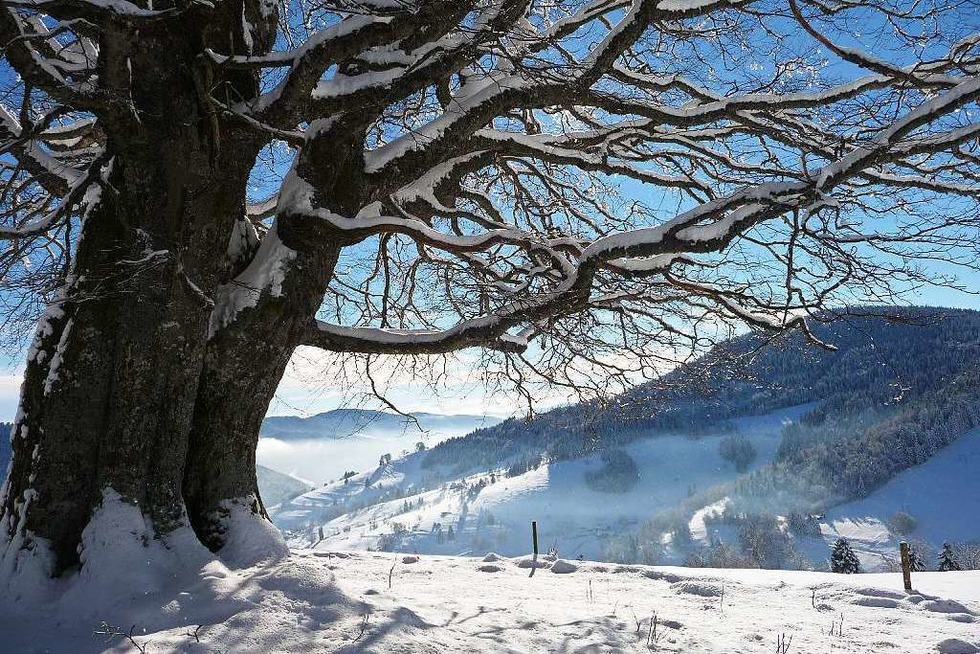 Wiedener Eck - Wieden