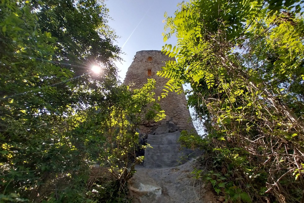 Ruine Schneeburg - Ebringen