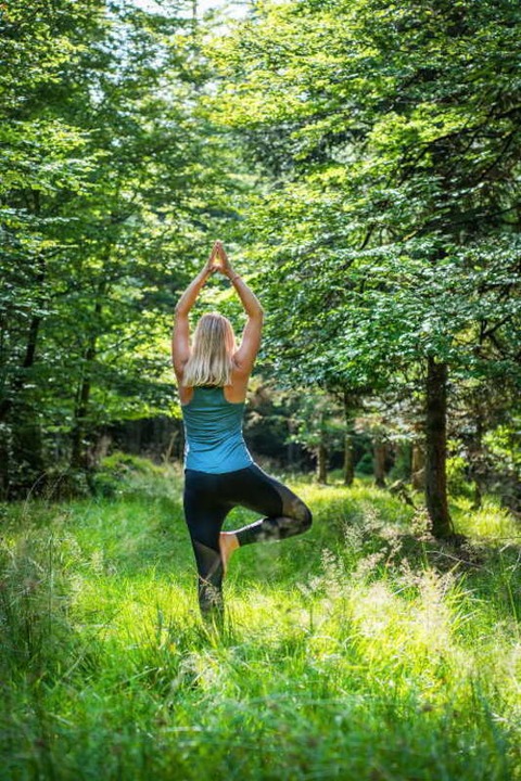 1. Globetrotter Wandertage Schwarzwald: Workshop &#8222;Hatha-Yoga Anfnger&#8220; - Bad Wildbad - 22.09.2024 10:00