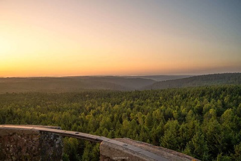 1. Globetrotter Wandertage Schwarzwald: Wanderung &#8222;Auf den Spuren des Westwegs&#8220; - Bad Wildbad - 22.09.2024 10:00