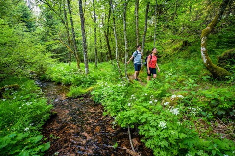 1. Globetrotter Wandertage Schwarzwald: Wanderung &#8222;Aichelberger Traumtour mit Fautsburg&#8220; - Bad Wildbad - 22.09.2024 11:30