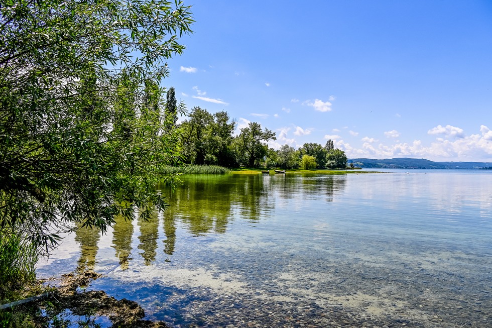 Insel Reichenau - Reichenau