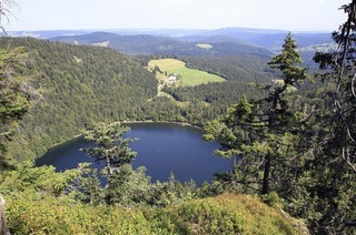 Auf dem Naturpark-Rundweg durch den Feldseewald