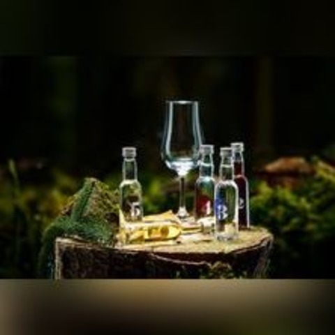 Gin Tasting - Freiburg - 19.10.2024 17:30