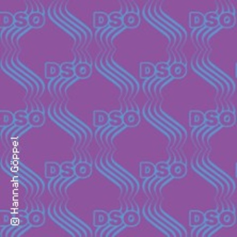 DSO - Schne Tne Live - Berlin - 21.02.2025 20:00