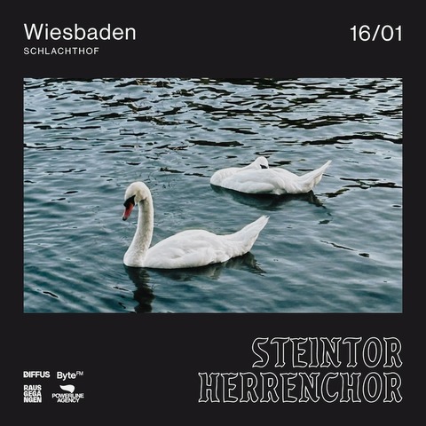 STEINTOR HERRENCHOR - &#8222;Oh scheie, Gefhle&#8220;-Tour 2025 - Wiesbaden - 16.01.2025 19:30