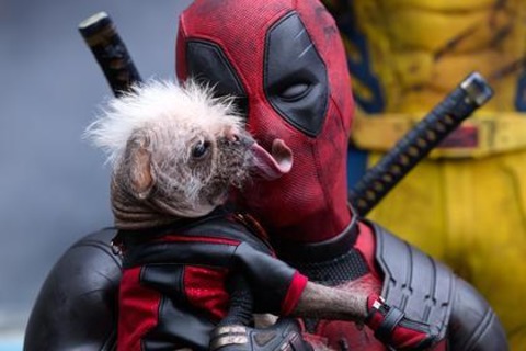 Deadpool & Wolverine - Basel - 10.09.2024 20:30