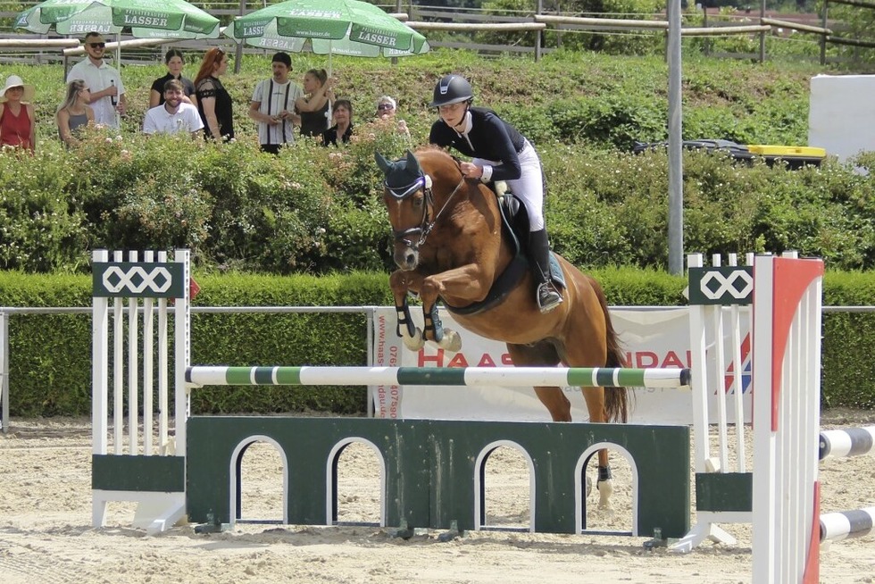 Regio-Reitturnier mit Pro Cup beim Reiterverein Lrrach - Badische Zeitung TICKET