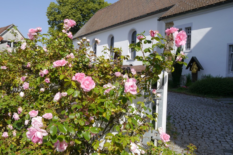 Rosendorf Nggenschwiel - Weilheim