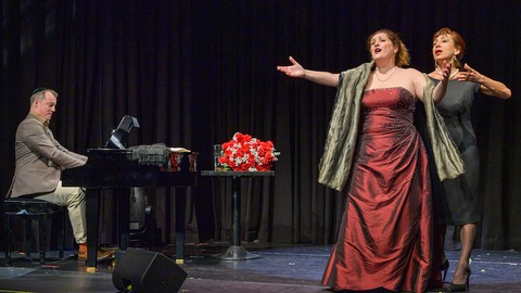 Meisterklasse - Triumphe und Dmonen der Maria Callas - Wolfenbttel - 27.09.2024 19:30