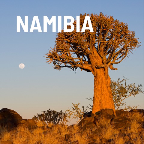 EXPEDITION ERDE: Namibia - Mythos und bizarre Schnheit - Ludwigsburg - 09.03.2025 18:00