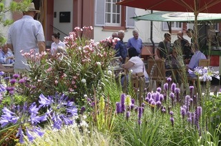 Drei Tage DIGA Gartenmesse im Schlosspark von Beuggen in Rheinfelden