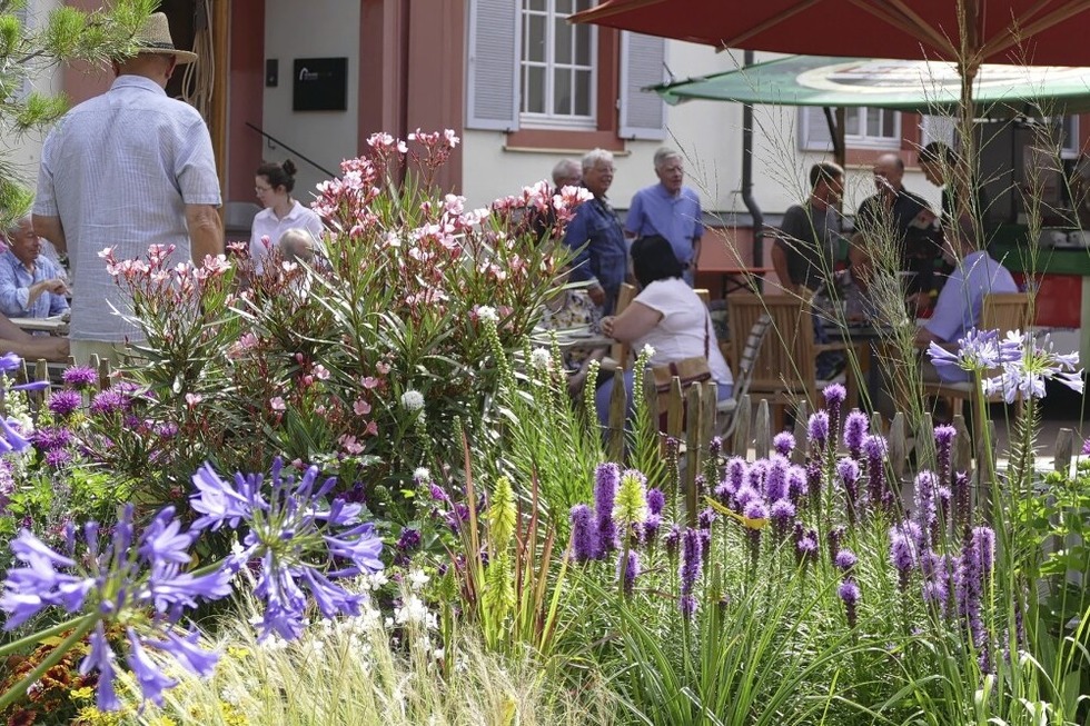 Drei Tage DIGA Gartenmesse im Schlosspark von Beuggen in Rheinfelden - Badische Zeitung TICKET