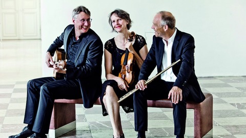 Pegasus Trio: Le Grand Tango - Musik von A. Piazzolla, E. Nazareth, I. Albeniz, G. Bizet u.a. - Unterhaching - 24.10.2024 19:30