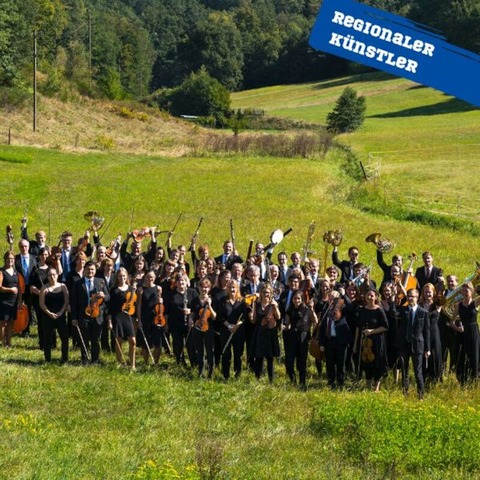 Neujahrskonzert - Sinfonieorchester Landkreis Kaiserslautern - Ramstein-Miesenbach - 19.01.2025 17:00