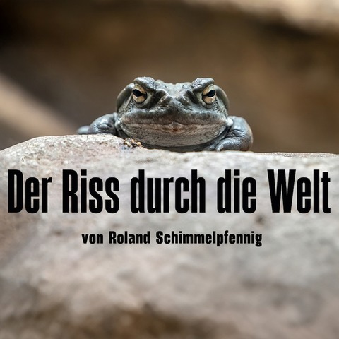 Der Riss durch die Welt - von Roland Schimmelpfennig - Stuttgart - 22.11.2024 19:30