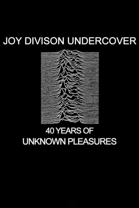 Joy Division Undercover - Frankfurt am Main - 21.11.2024 20:00