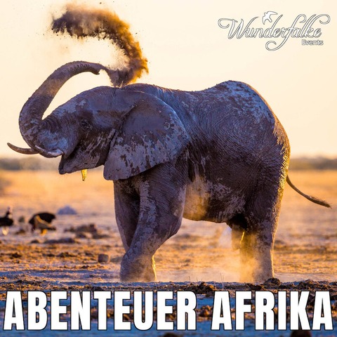 Wunderfalke: LIVE Beppo Niedermeier &#8222;Abenteuer Afrika&#8220; - Familienvortrag - Bad Tlz - 01.12.2024 13:00