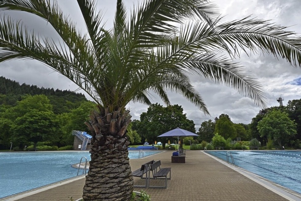 Freiburger Strandbad feiert Jubilumsfest - Badische Zeitung TICKET