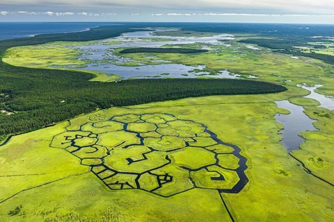 Das BALTIKUM entdecken Eine Reise durch Litauen, Lettland, Estland und Knigsberg - Lhne - 28.01.2025 17:00